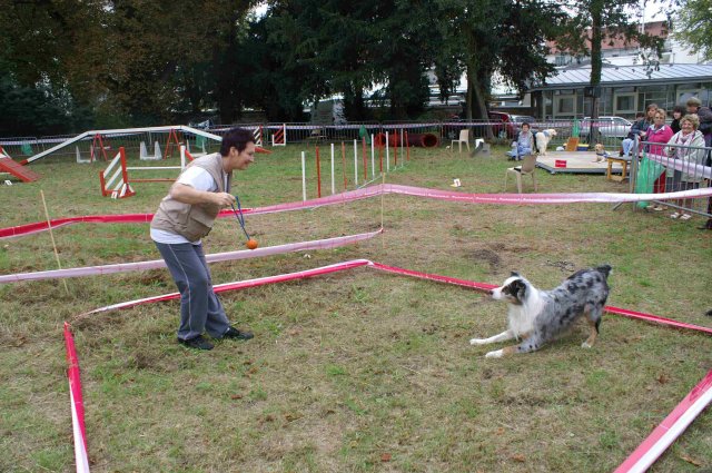foire-haricots 2011-09-17et18